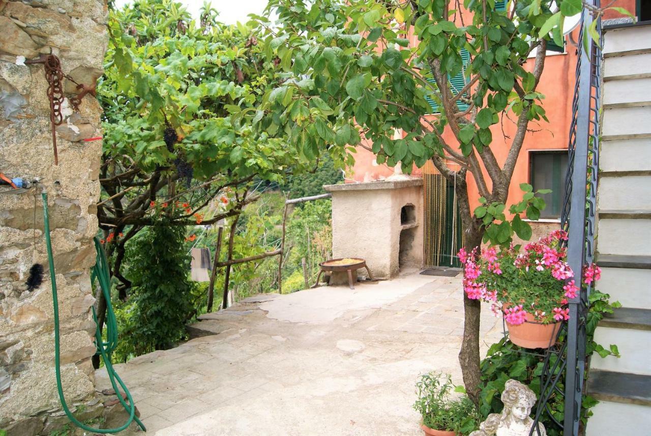Chez Il Pino Apartment Vernazza Exterior photo